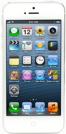 Смартфон Apple iPhone 5 64Gb White & Silver - Грозный