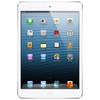 Apple iPad mini 16Gb Wi-Fi + Cellular белый - Грозный