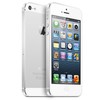 Apple iPhone 5 64Gb white - Грозный